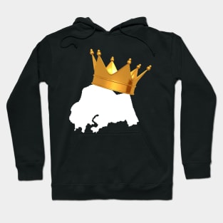 King of Branford Hoodie